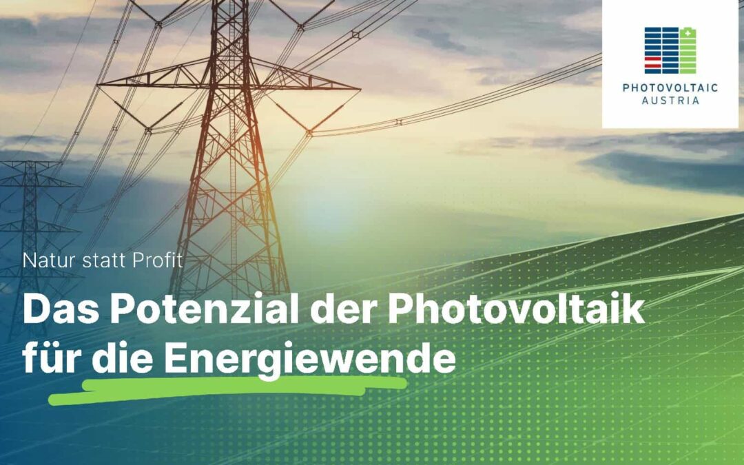 Kaunertal Konferenz 2023_Vortrag Vera Immitzer_PV