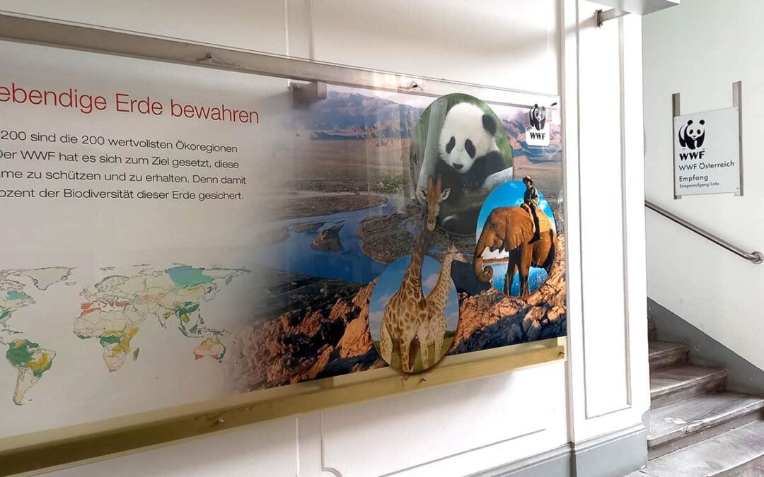 WWF Büro Eingangsbereich