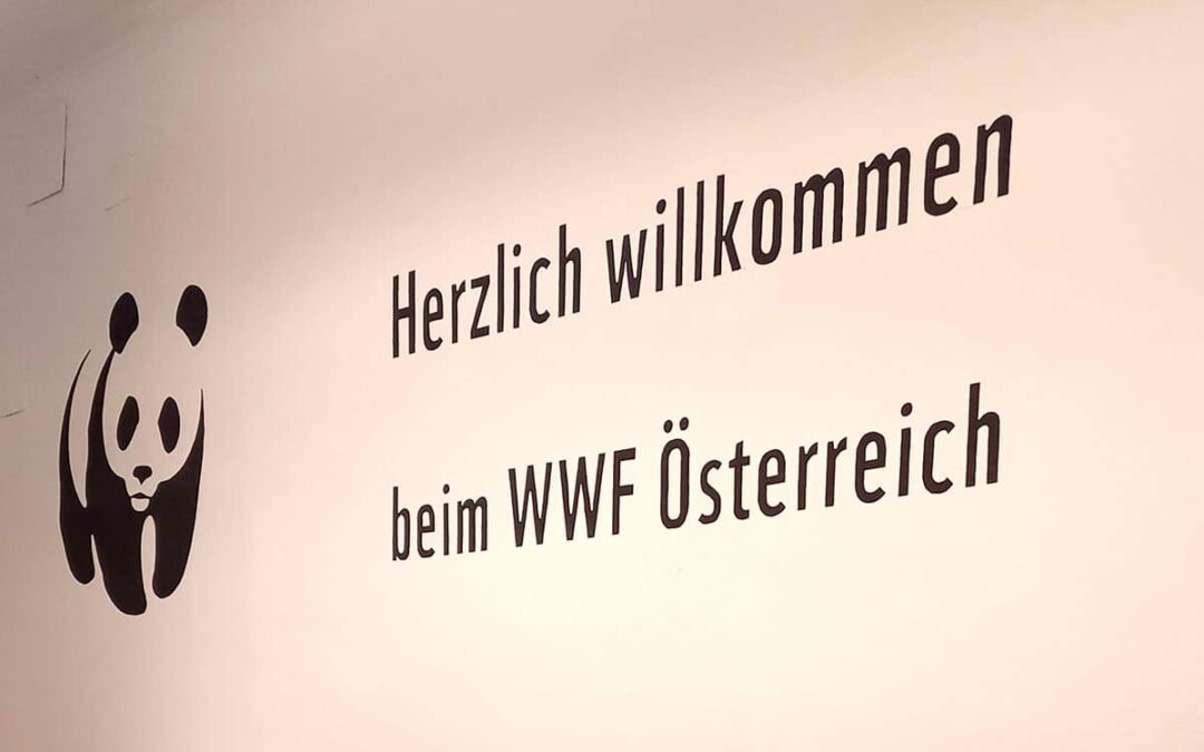 WWF Büro Willkommen