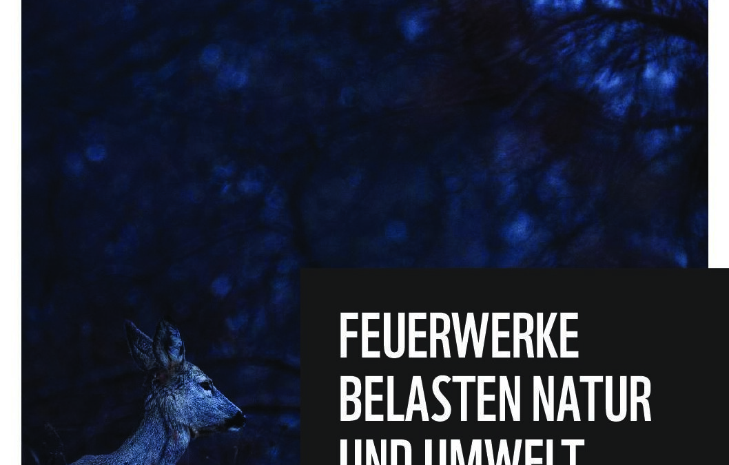 WWF_Analyse_Feuerwerke_belasten_Natur_und_Umwelt_Dezember_2023