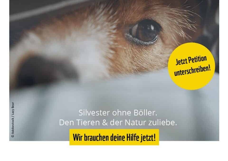 Flyer Silvester ohne Böller – Hund