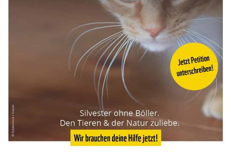 Flyer Silvester ohne Böller – Katze