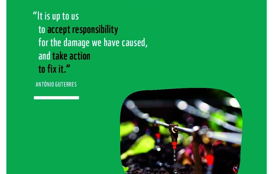 WWF_Studie_Biodiversitäts-Management_Case_Studies_2024