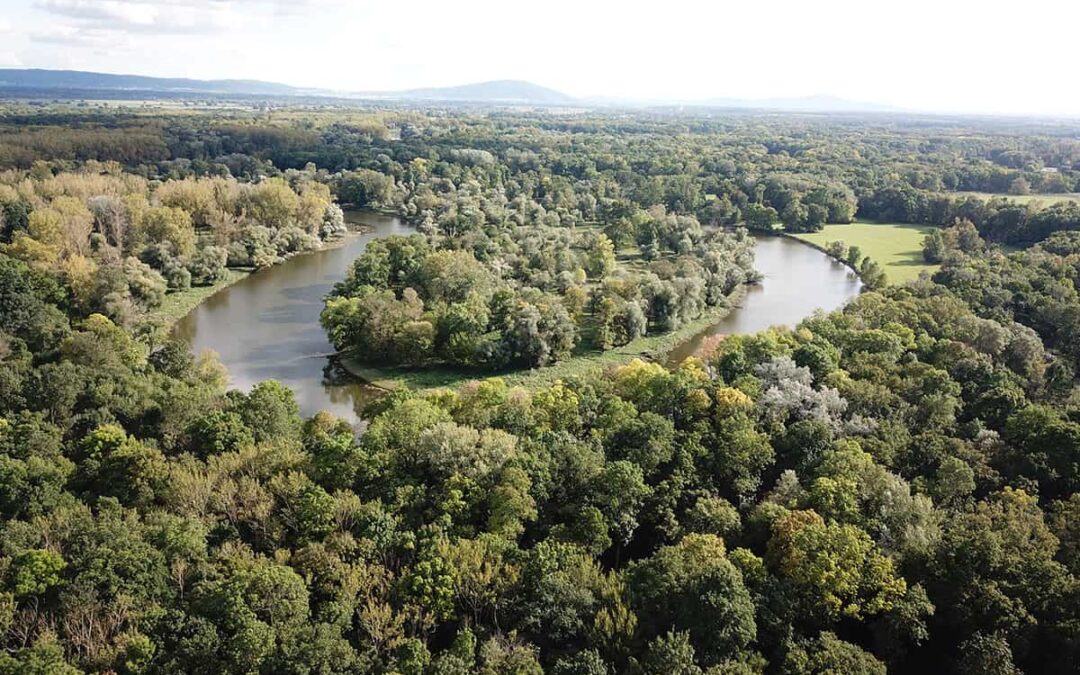 Fluss in Waldlandschaft (c) Walther Gastinger