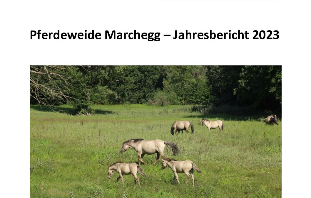 Weidebericht Auenreservat Marchegg 2023