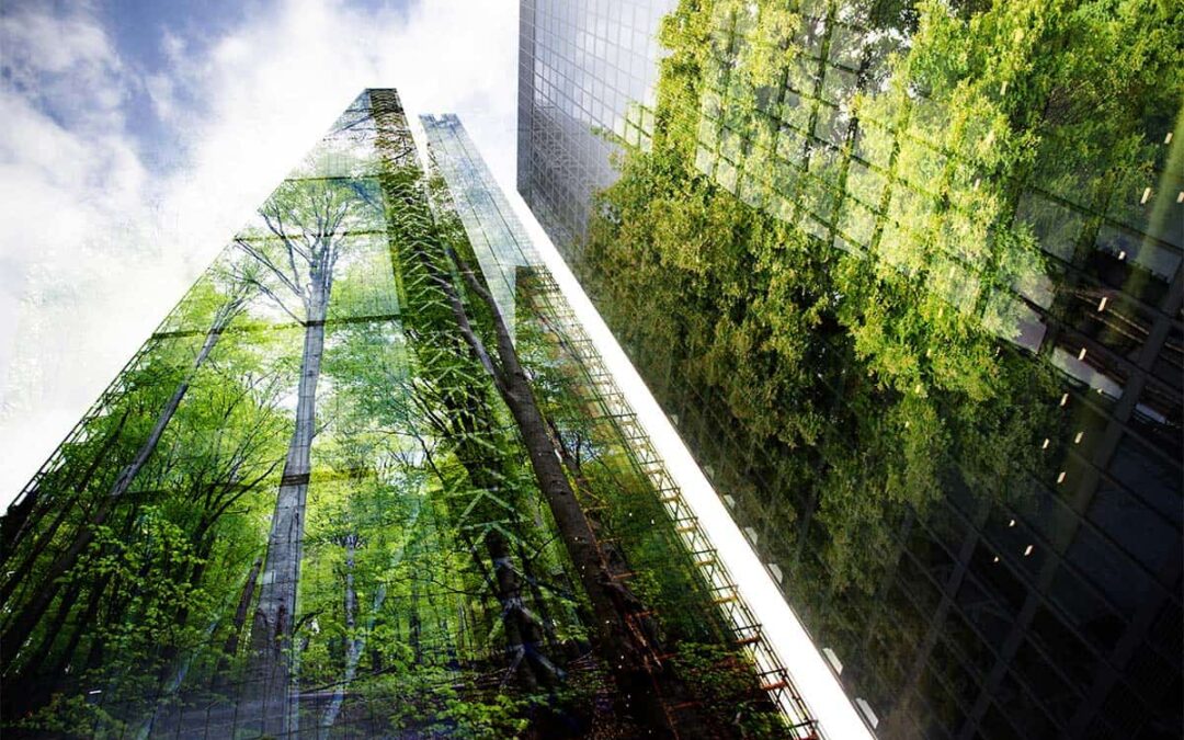 Gebäude bewachsen mit Pflanzen (c) AdobeStock_416707131