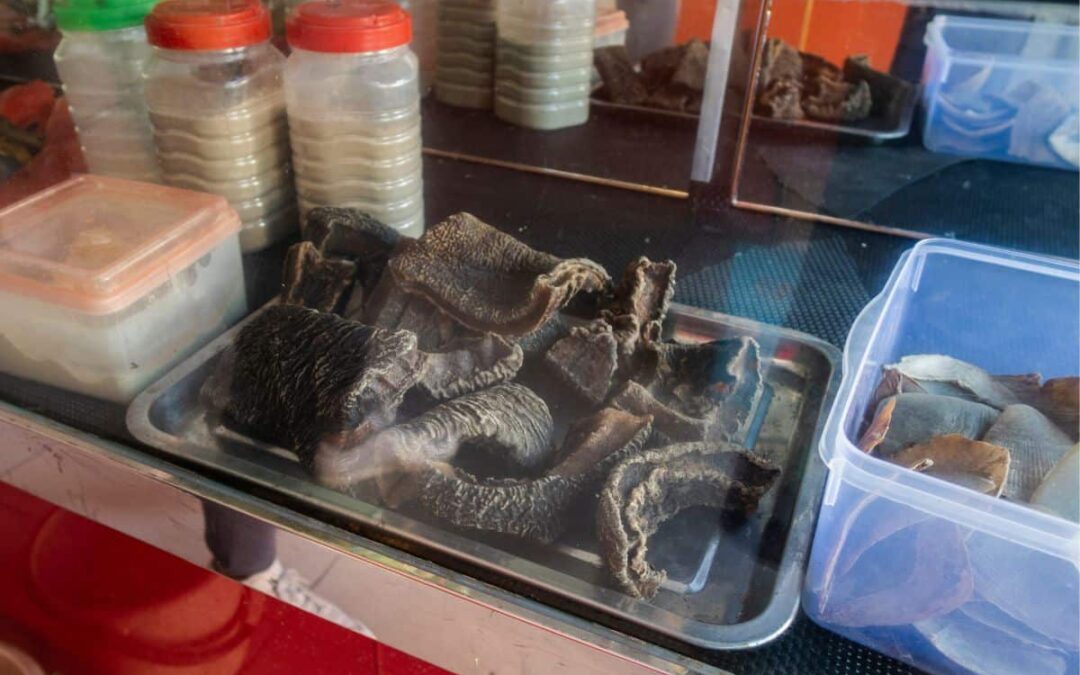 wwf-at_elefantenhaut-wilderei