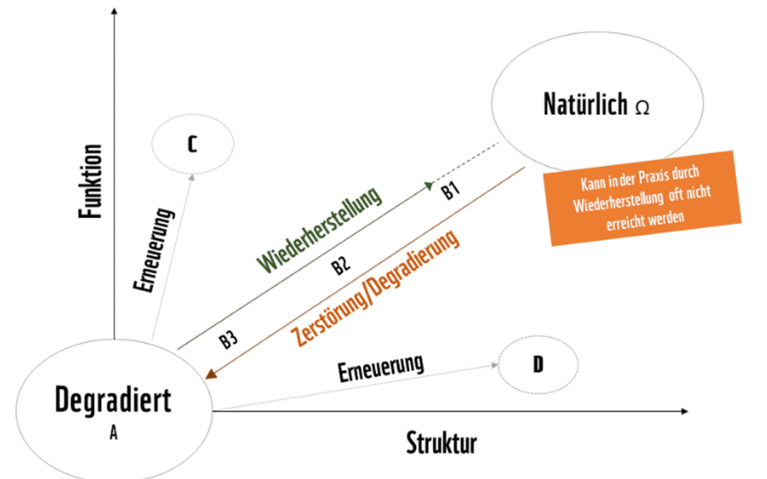 Grafik Degradierung und Wiederherstellung (c) WWF