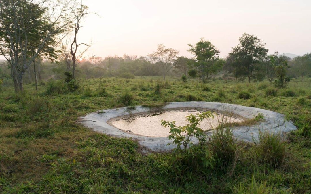 wwf-at_kui-buri_wasserstelle