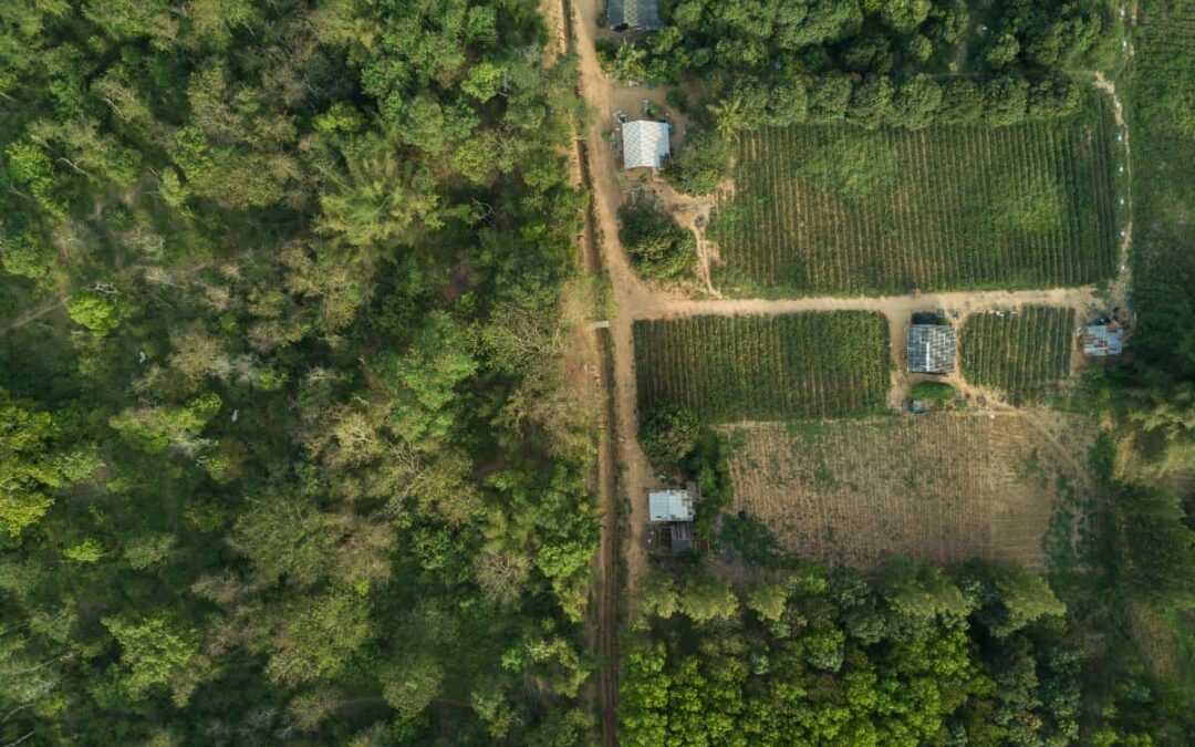 wwf-at_thailand-elefanten