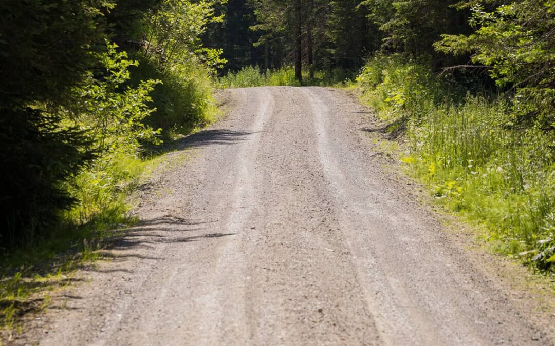 Forststraße (c) Christian Lendl