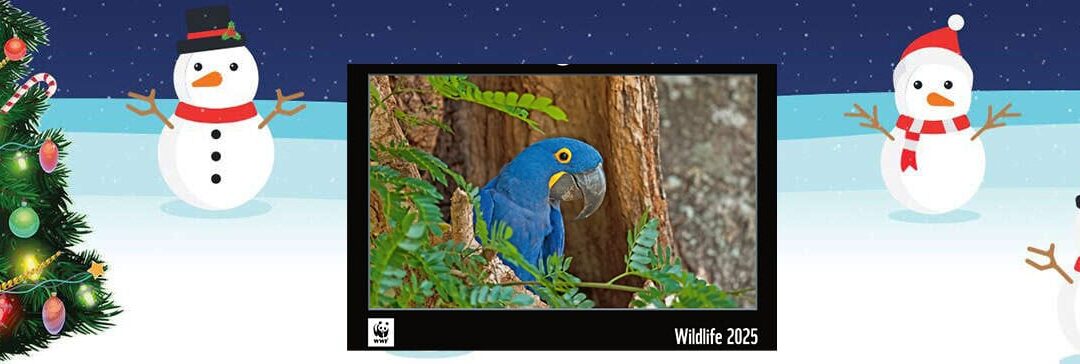 WWF-Jahreskalender 2025 Header