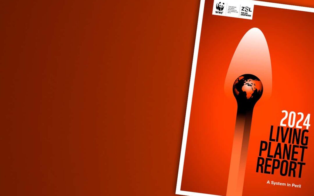 Living Planet Report Cover 2024