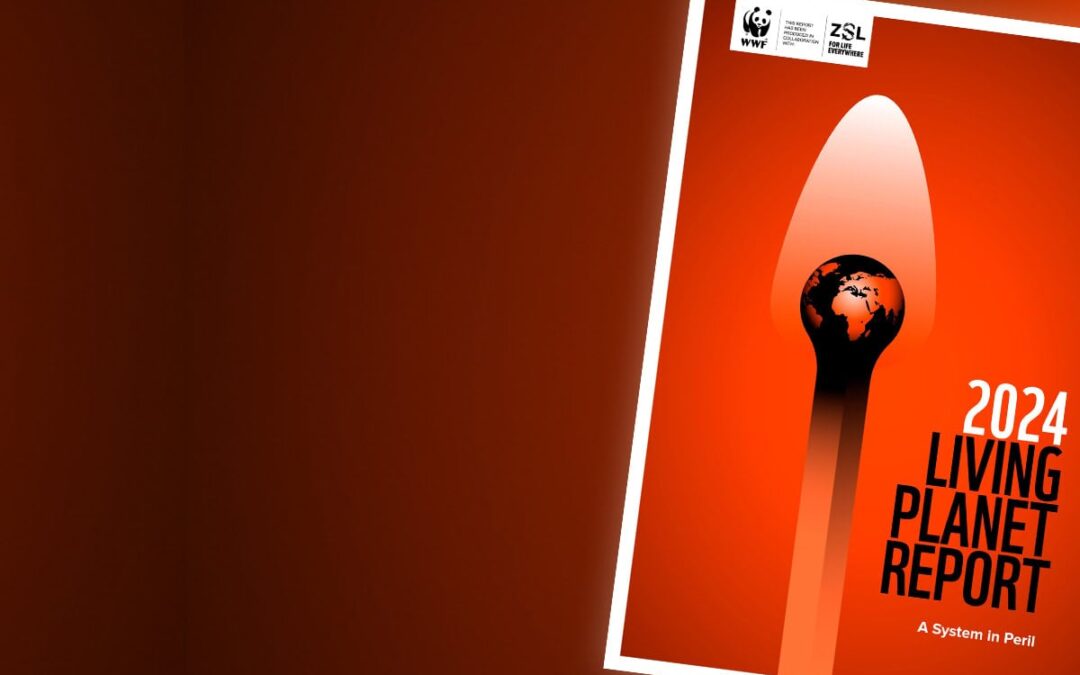 Living Planet Report Cover 2024