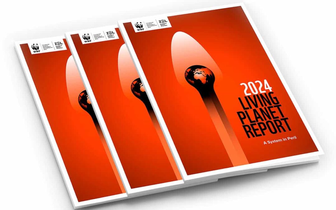 Living Planet Report Cover 2024