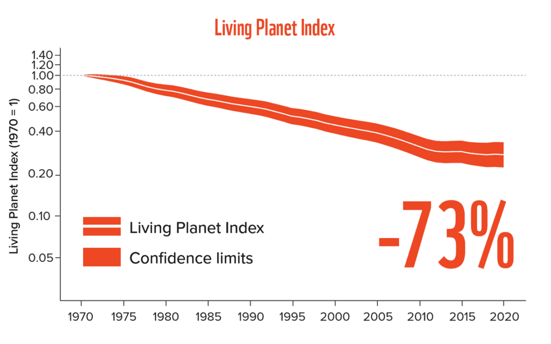 WWF Living Planet Report 2024: Living Planet Index