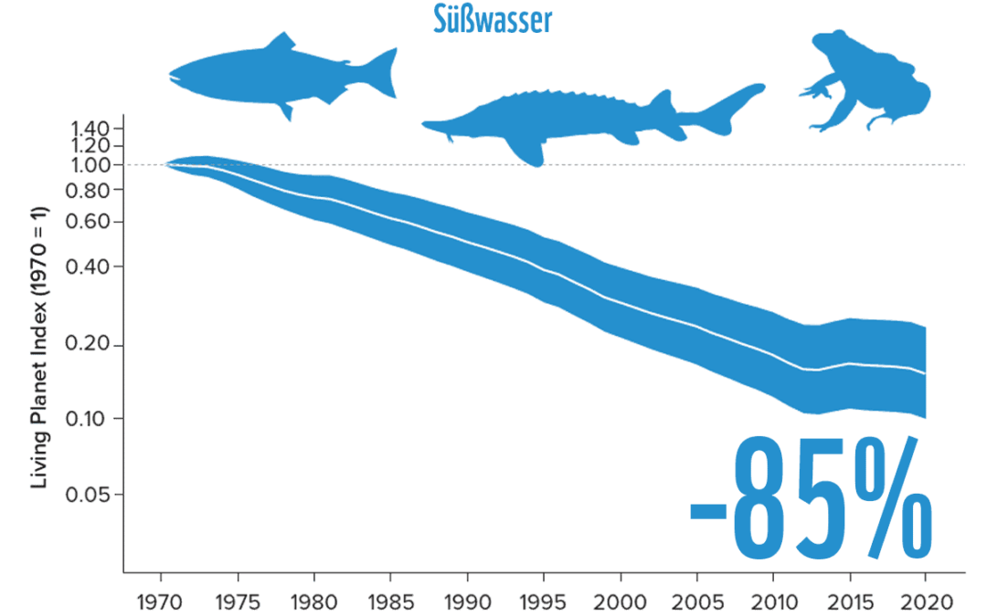 Living Planet Index: Süßwasser (c) WWF