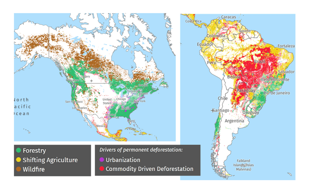 Baumbestand: Verlust in Amerika (c) curtis_et_al_2018 globalforestwatch.org