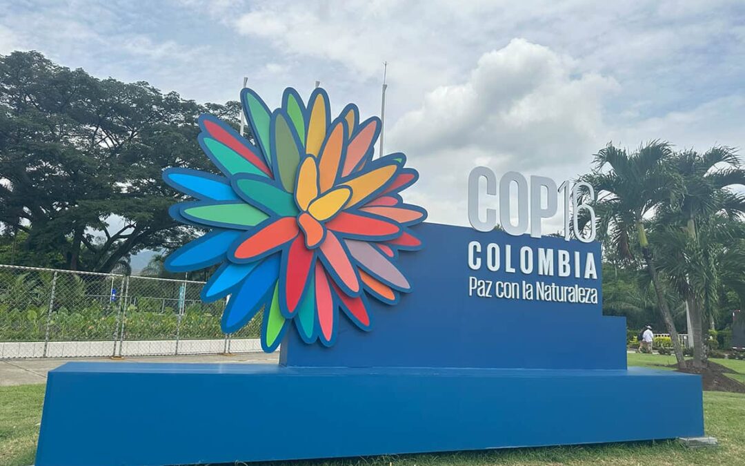 COP16 colombia (c) WWF