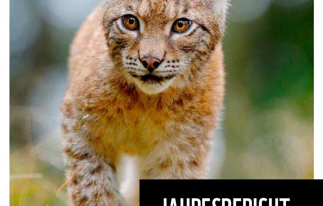 WWF-AT-Jahresbericht_2023-24