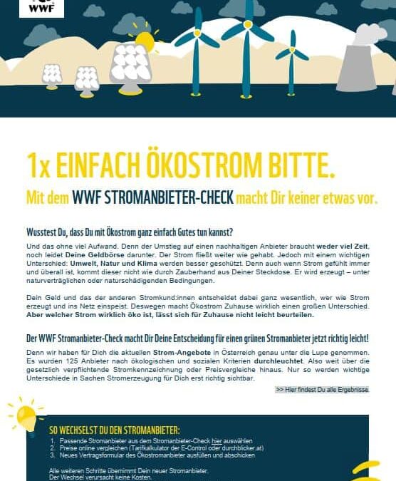 Stromanbieter-Check kompakt