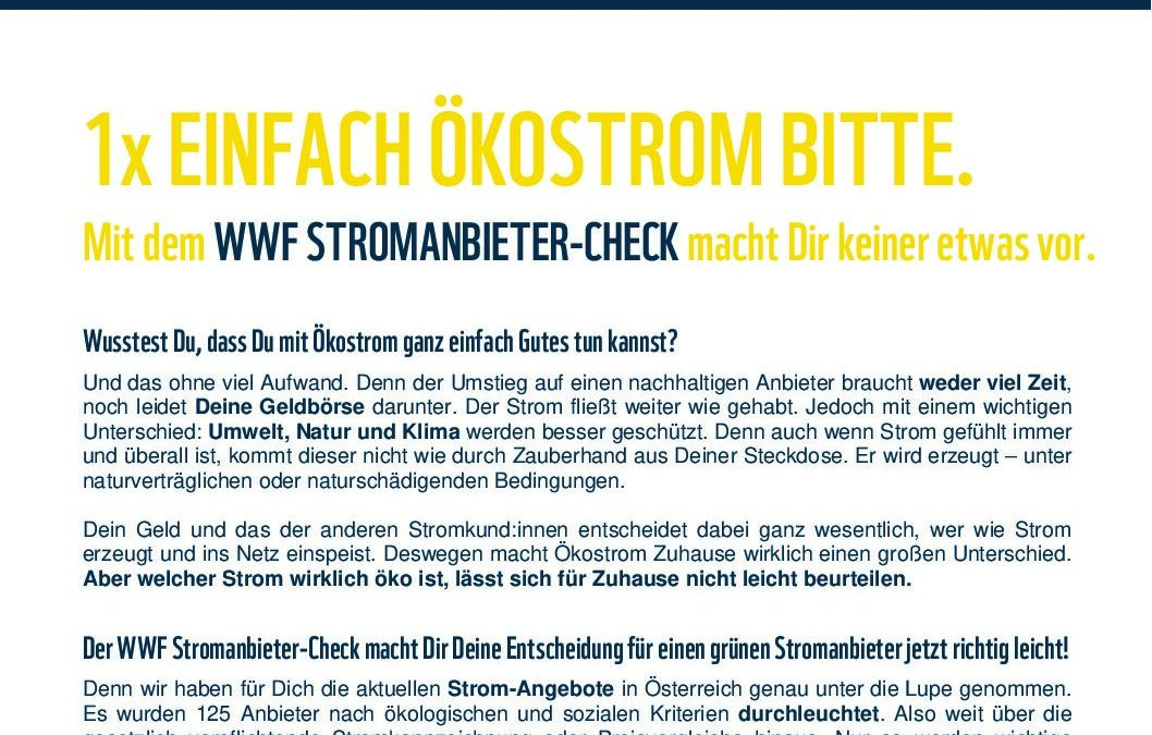 Stromanbieter-Check kompakt