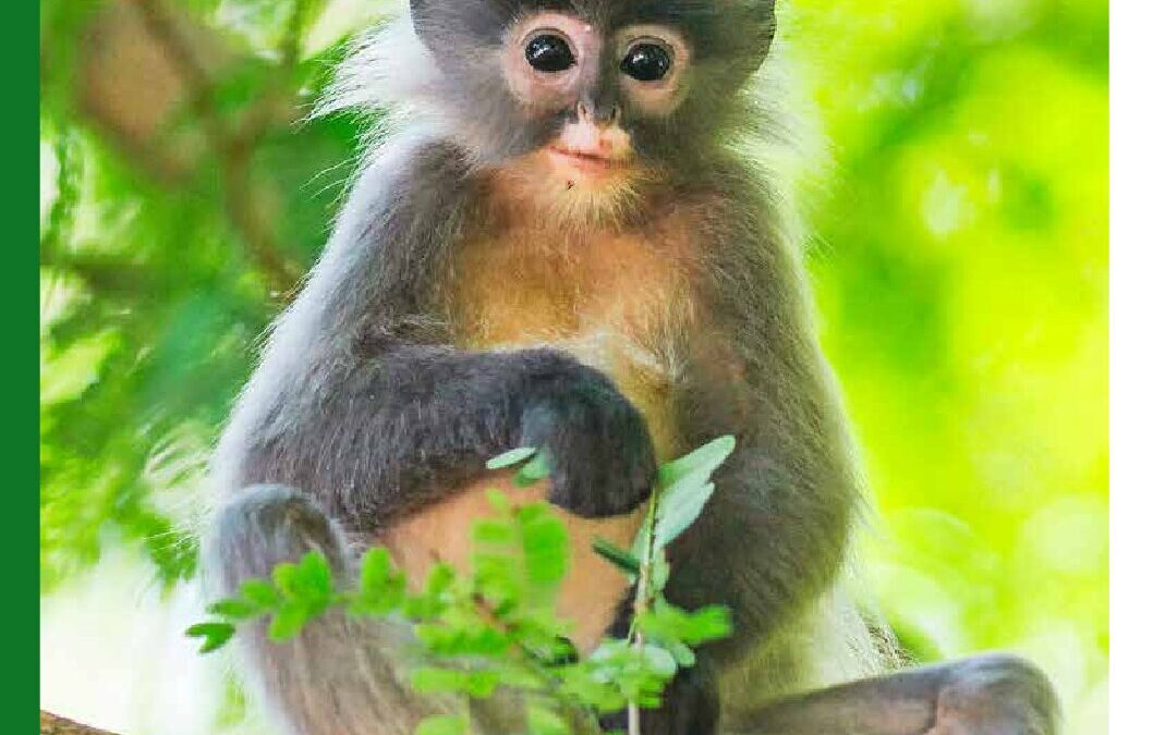 WWF-at_PANDA_MAGAZIN_2024_2