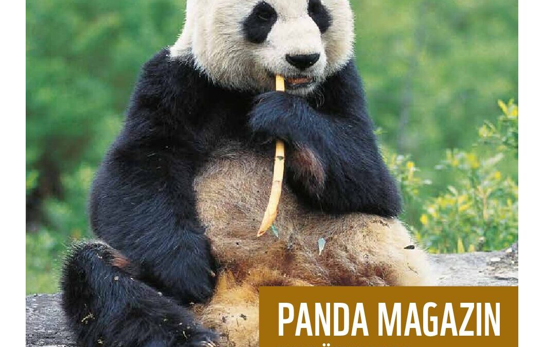 wwf-at_PANDA-MAGAZIN_Mediadaten_1_25