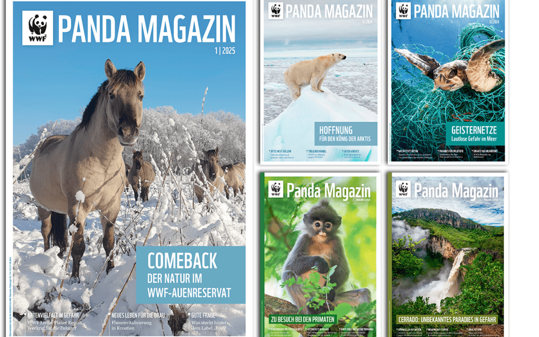 WWF PANDA MAGAZIN (c) WWF