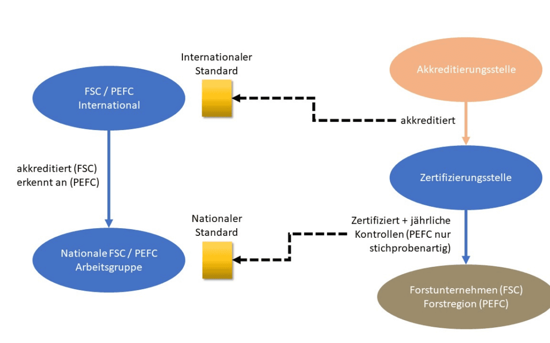 Der Zertifizierungsprozess FSC/ PEFC  (c) WWF