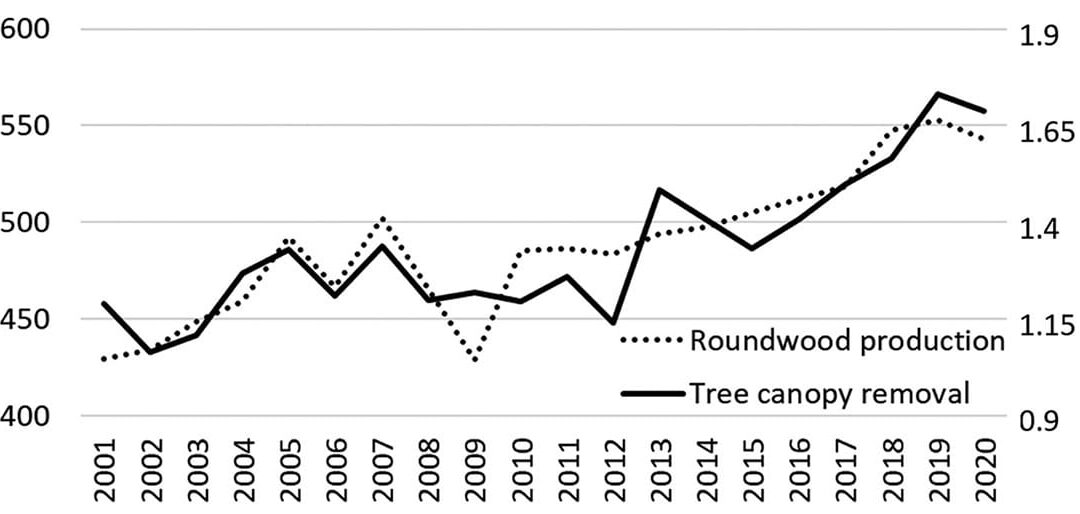 Baumkronenausdehnung und Rundholzproduktion (c) Turubanova et al., 2023