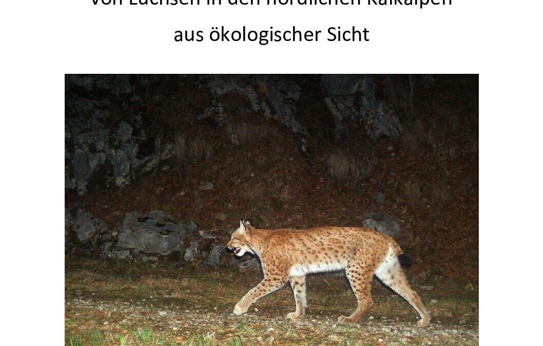 2023 Machbarkeitsstudie Bestandsstuetzung von Luchsen