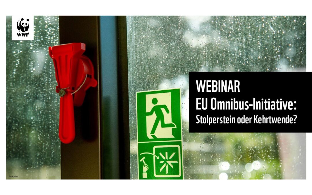 Hand Out WWF Webinar: EU-Omnibus Stolperstein oder Kehrtwende