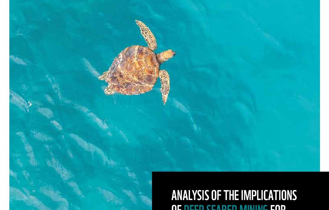 WWF-REPORT 2025: IMPLICATIONS OF DEEP SEABED MINING