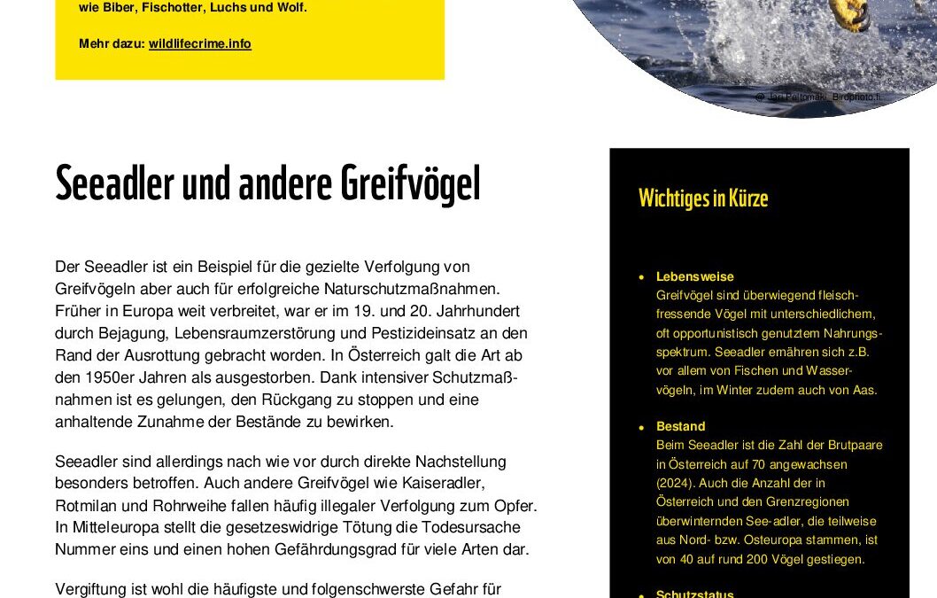 wildlifecrime factsheet Greifvoegel