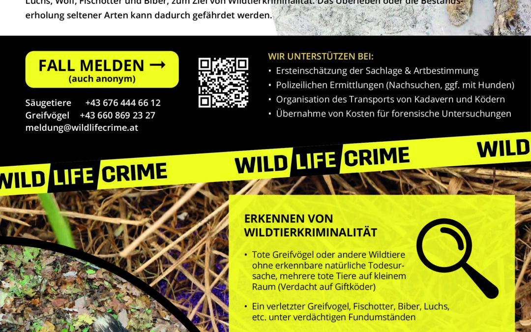 wildlifecrime factsheet Wildtierkriminalitaet