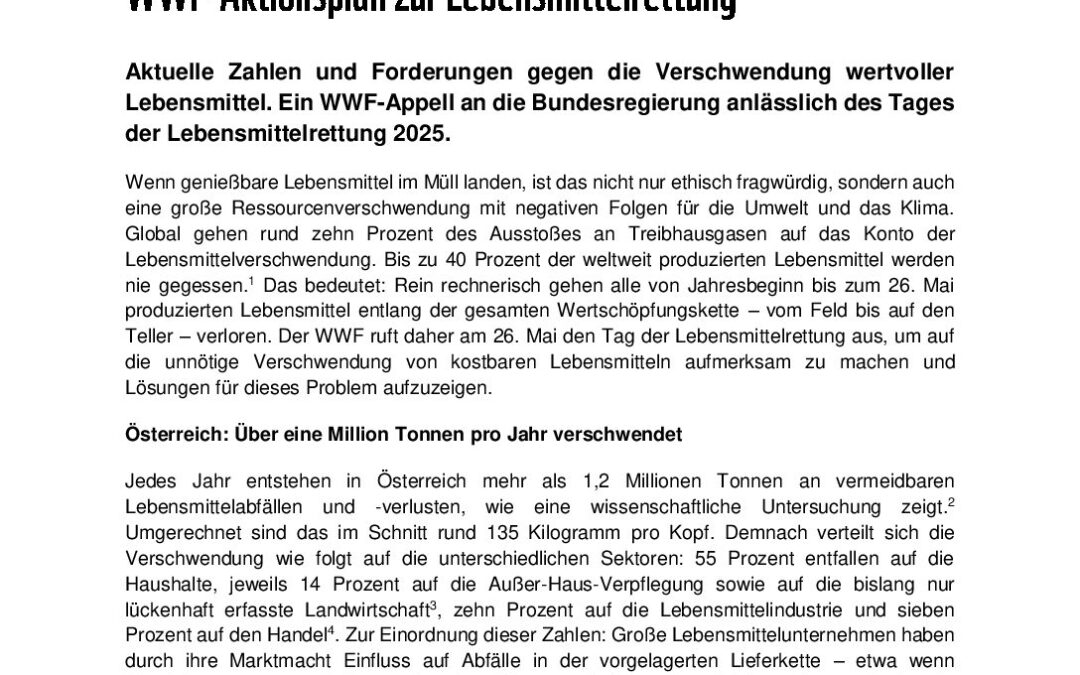 Appell an die Bundesregierung zum Tag der Lebensmittelrettung