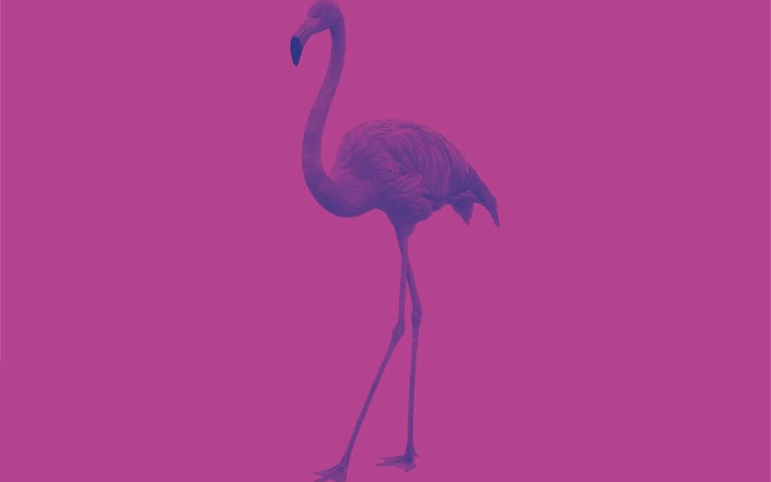 Flamingo auf dunkelrosa Hintergrund (c) Adobestock_43158613