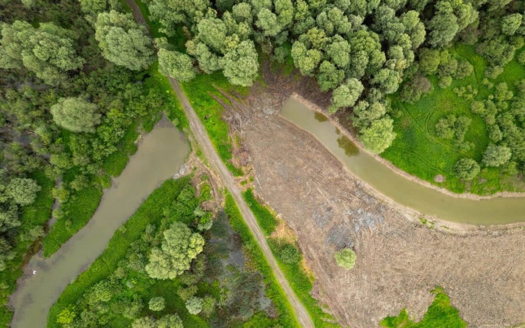 Bjelobrdska-Altarm Renaturierung. (c) Marko Lorenzo Blaslov