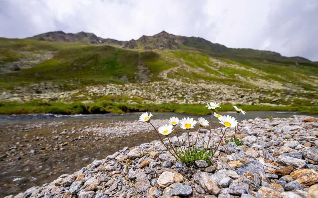 Platzertal (c) Sebastian Fröhlich WWF Österreich