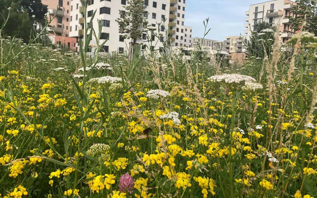 wwf-at_wien_nordbahnhof_freiemitte_1200x800_c_Simon_Pories_WWF_Oesterreich