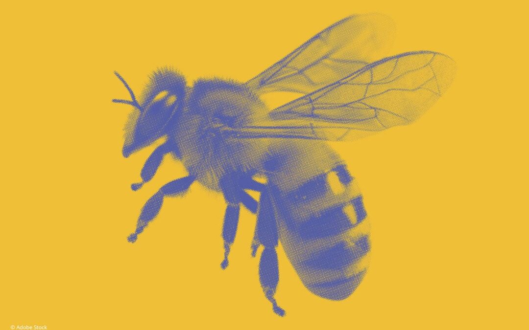 Biene auf gelbem Hintergrund (c) AdobeStock_569245416