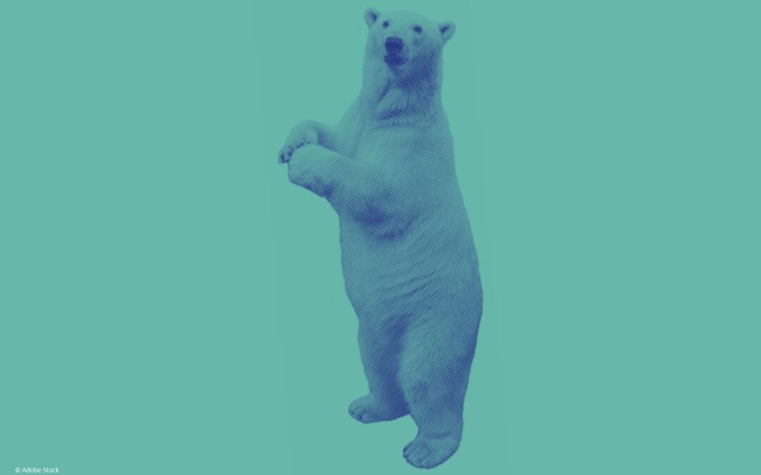 Eisbär auf blauem Hintergrund (c) AdobeStock_235912778