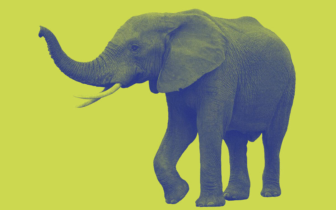 Elefant auf gelbem Hintergrund (c) AdobeStock_11977501