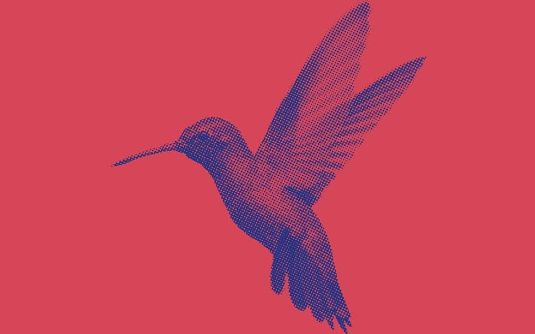 Kolibri auf rotem Hintergrund (c) AdobeStock_129386039