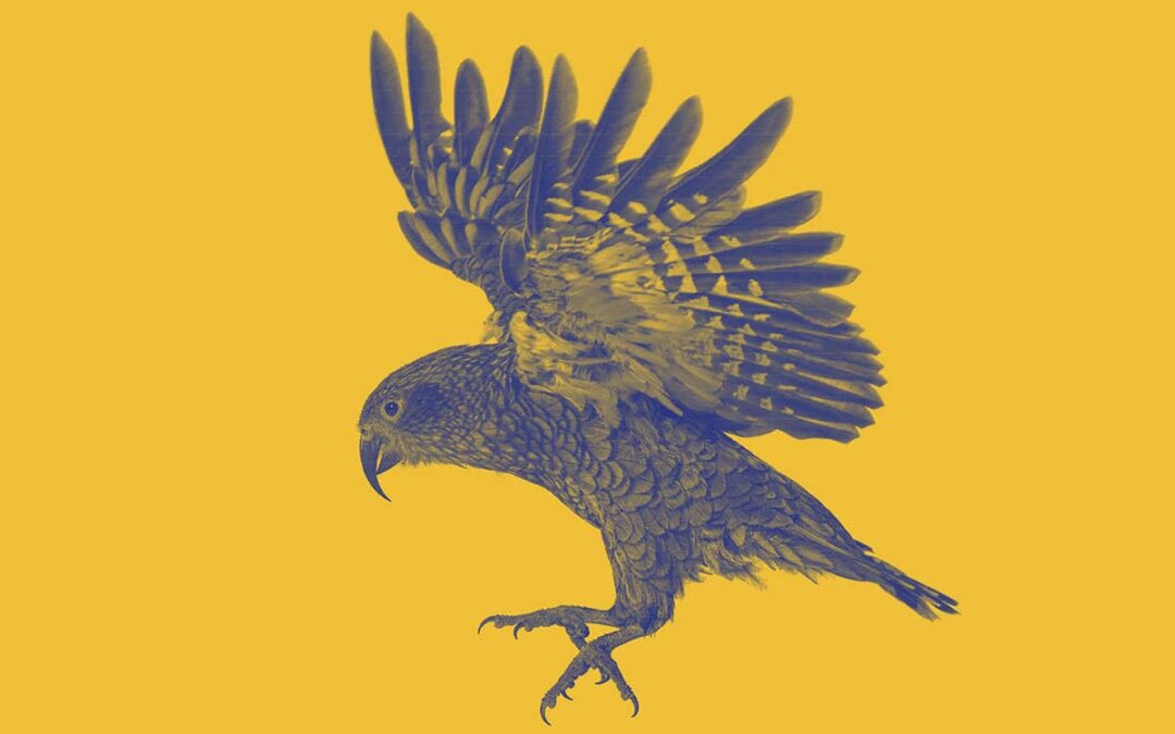 Papagei auf gelbem Hintergrund (c) AdobeStock 510875590