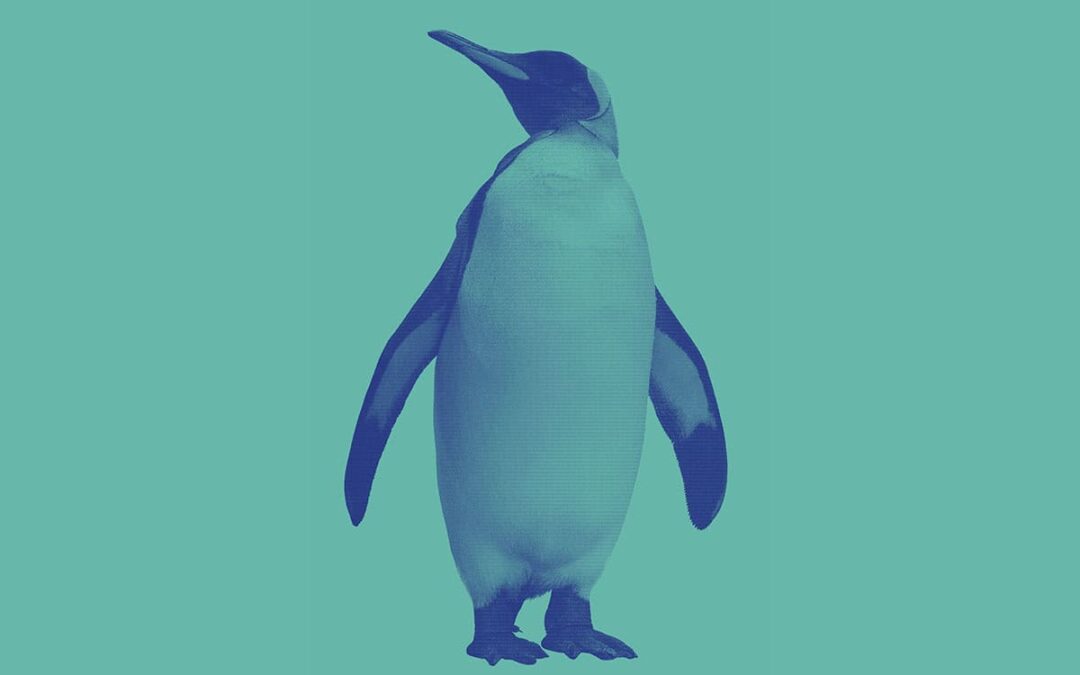 Pinguin auf blauem Hintergrund (c) AdobeStock 135493326