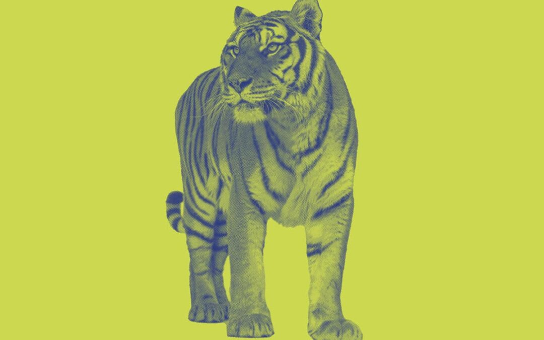 Tiger auf gelbem Hintergrund (c) AdobeStock 383464239