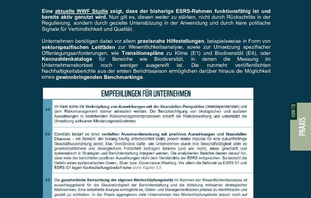 WWF ESRS-Analyse 2025 Empfehlungen