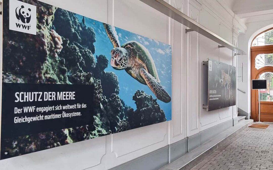 wwf-at_WWF_Eingang_082441_1200x800_c_WWF_oesterreich